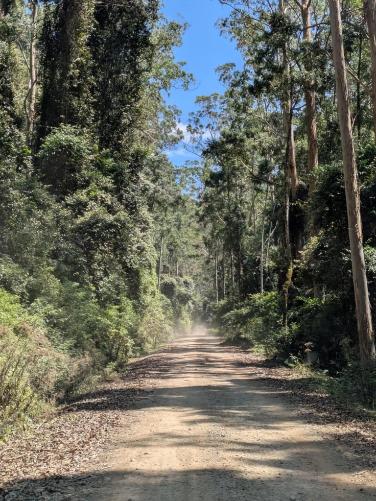 Most of the road up to the National park was dirt and we got stuck behind a slow 2wd. I was happy enough just to drop back and just left the dust settle but that meant it took a lot longer than google had said to get to the top. Being school holidays it felt busy and there were a lot of people camping.