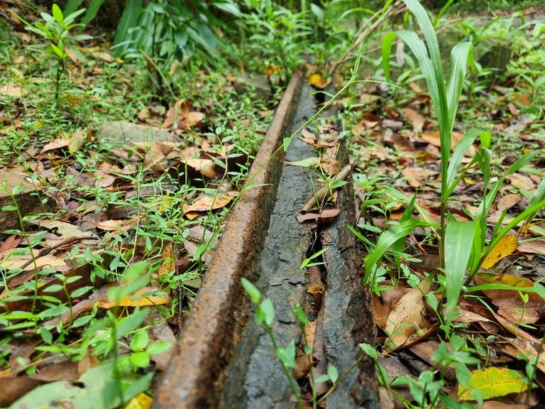 An old piece of rail just rusting away slowly.