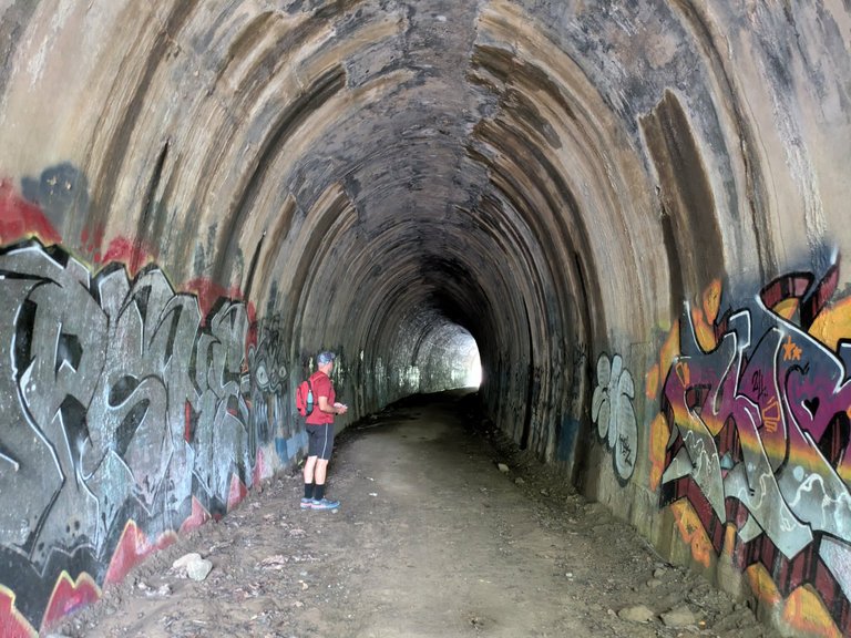 Just under 100 metres long there would not have been much spare room with a train in here.