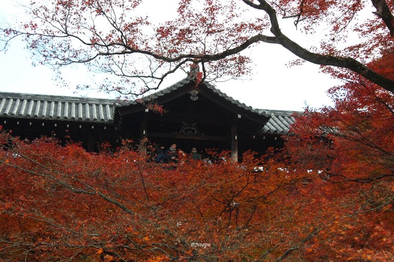 Tofukuji Temple