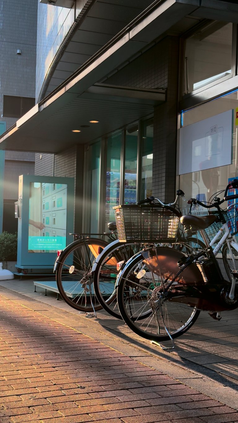 Parked bicycles in front of the building