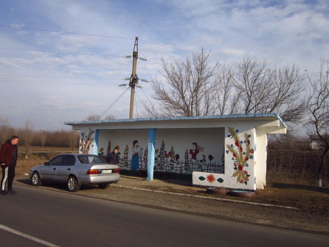 The village of Barsuki, Balti district, Odessa region