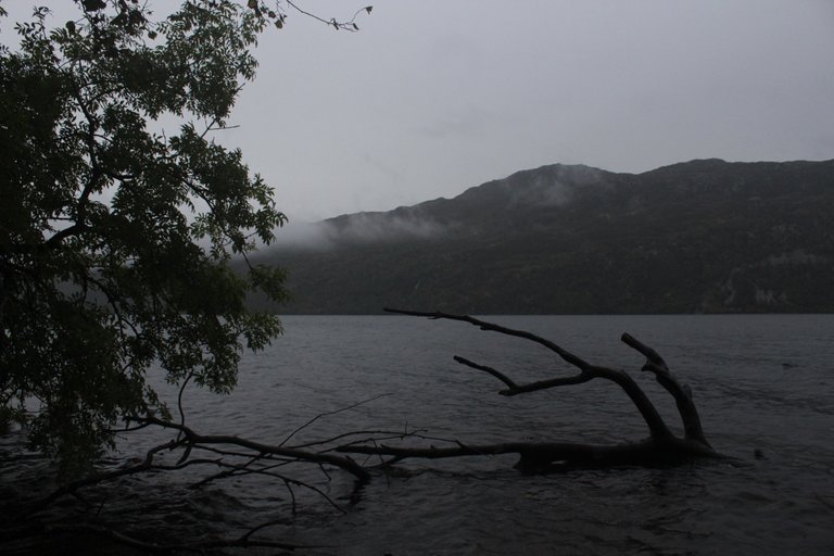 IMG_7655.JPG