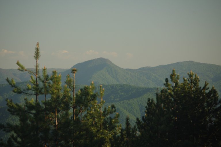 IMGP0417.JPG