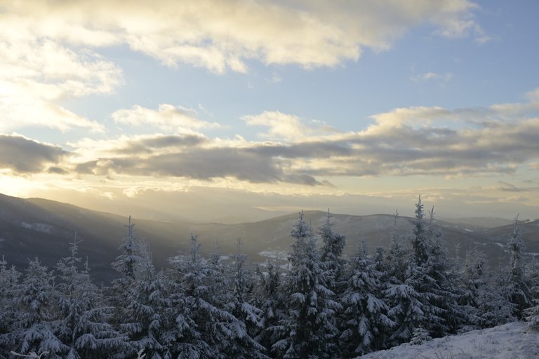 _DSC4981.JPG