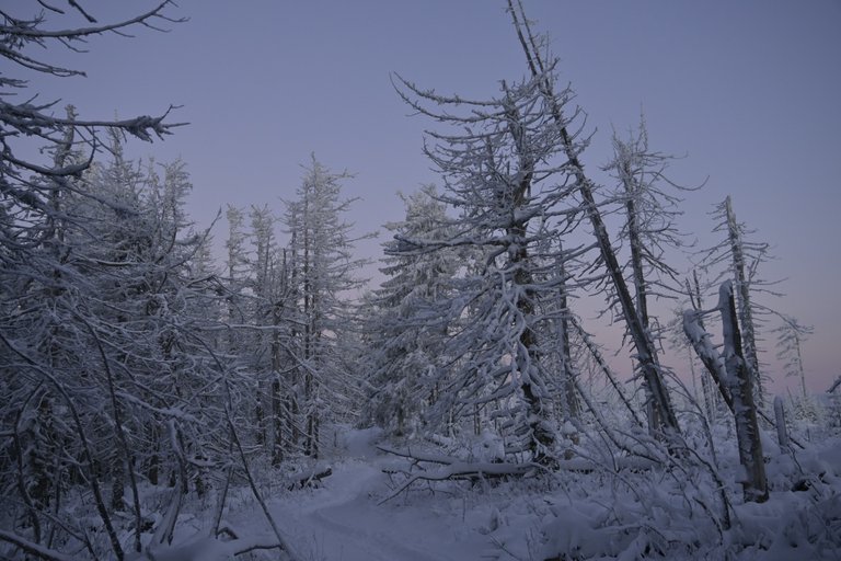 _DSC5003.JPG
