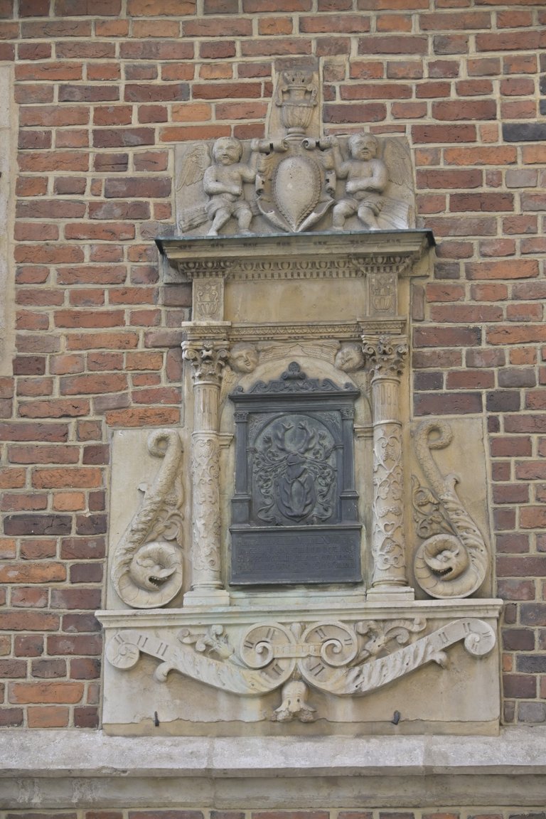 _DSC5540.JPG