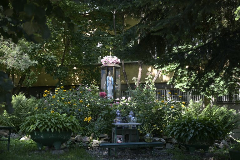 _DSC7550.JPG