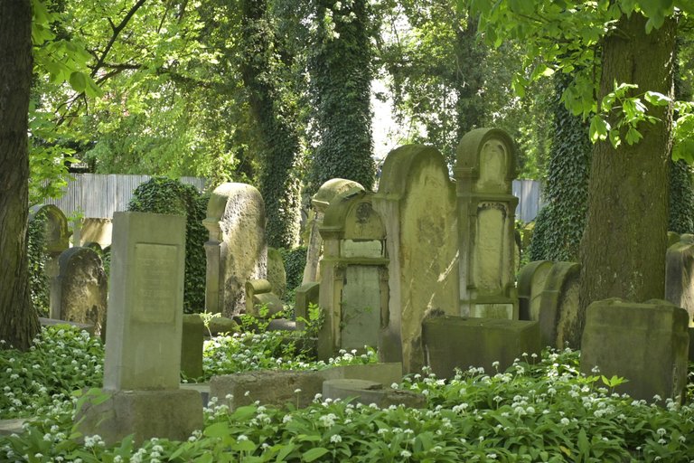 _DSC7000.JPG