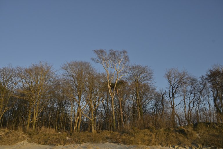 _DSC5987.JPG