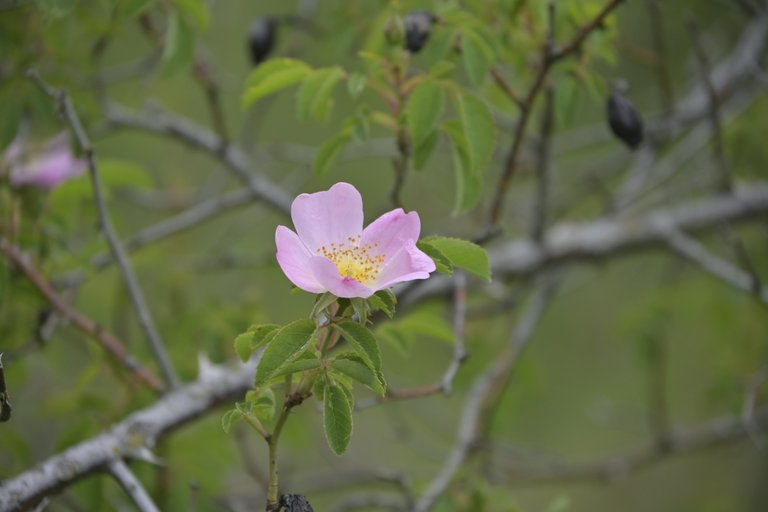 _DSC7769.JPG