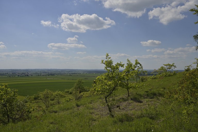 _DSC7885.JPG