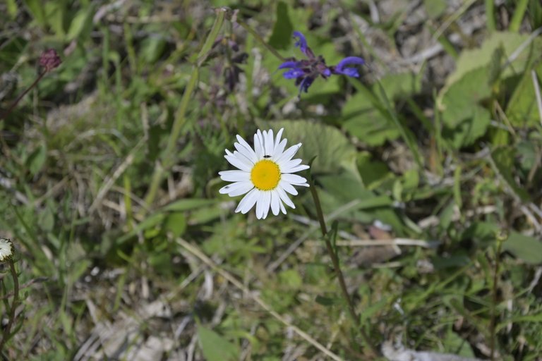 _DSC7839.JPG