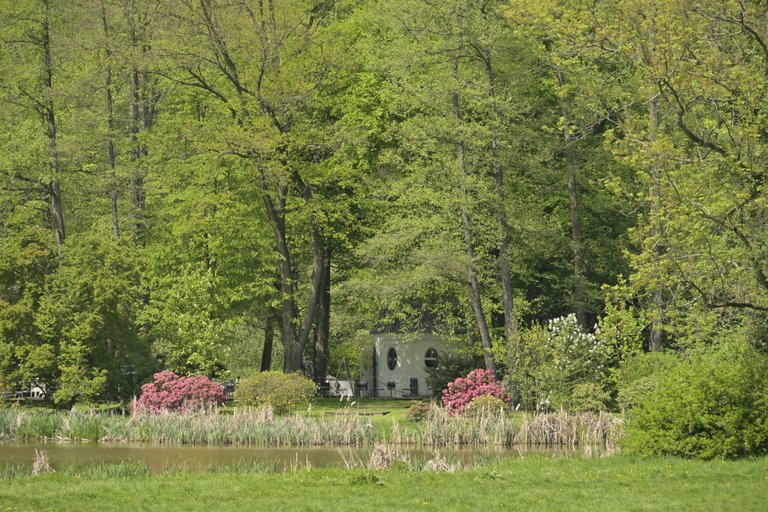 _DSC7271.JPG