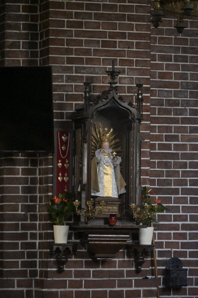 _DSC8392.JPG