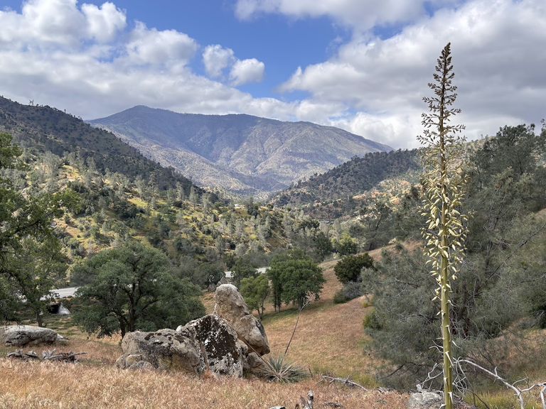 Nothing special on the Kern River Trail