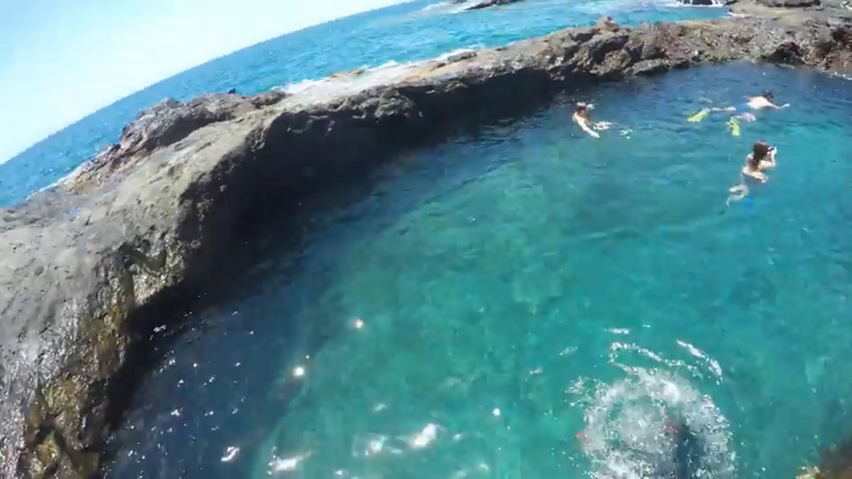 nature pool