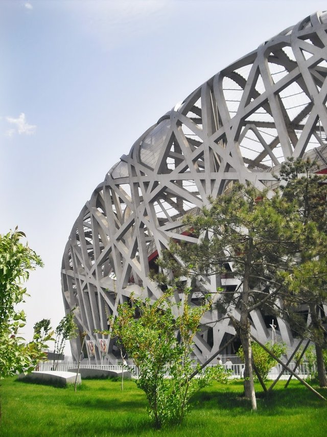 The birds nest in Beijing.