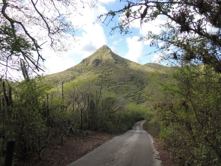 Road leading to the parking