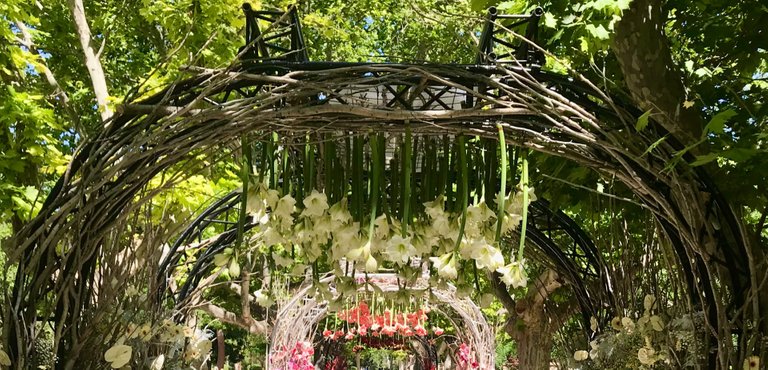 Entrada a la sucesión de arcos florales