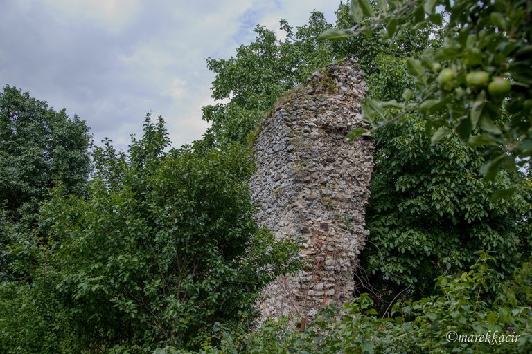 Ruins of Plešivec castle