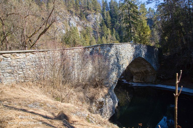 Carthusian bridge