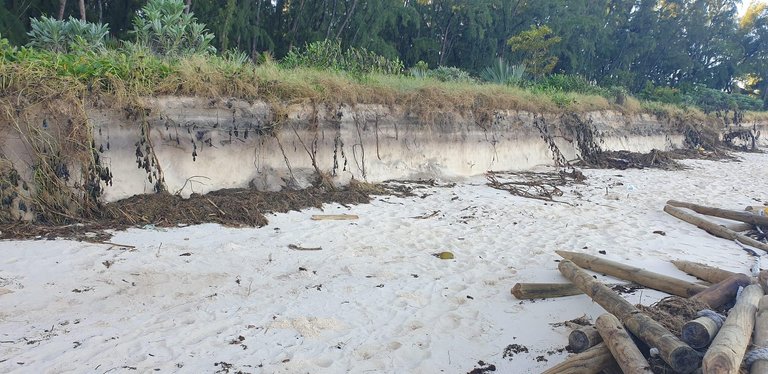 Erosion at Mon Choisy Beach!