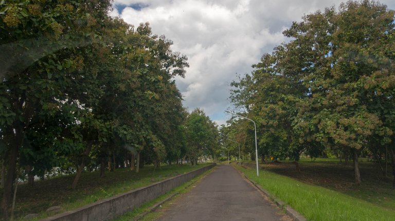 There were some trees and grass by the road that maintained quite well