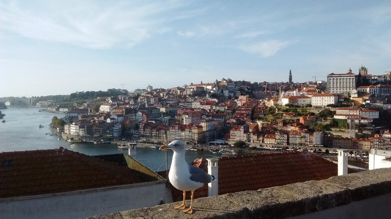 All pictures taken in 2018, in Porto, Portugal.
