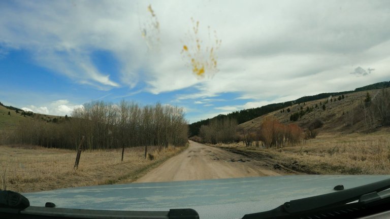 Sorry about the bug splat! 