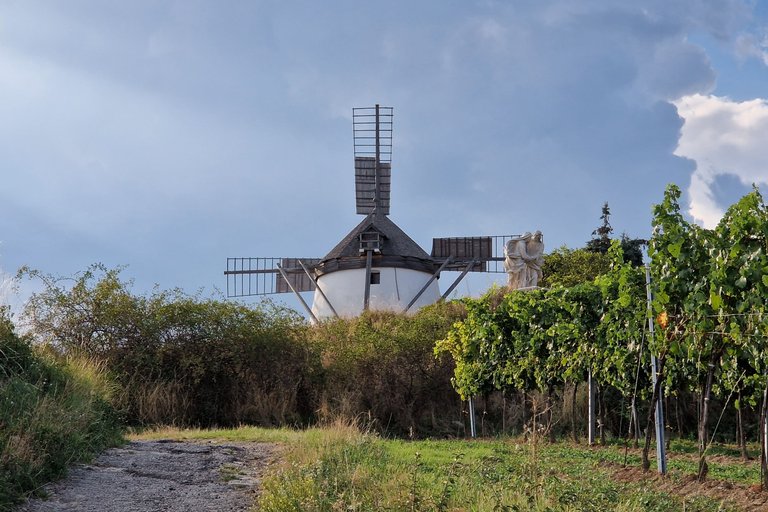 Windmill