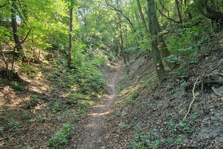 Tulbinger Steig