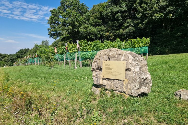 Domaine des Sommeliers