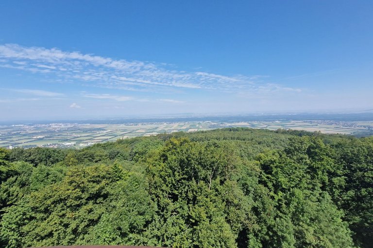 View from the Leopold-Figl-Warte
