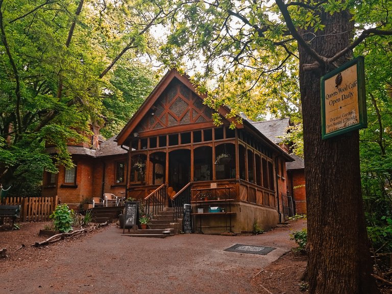 A coffee shop in the woods