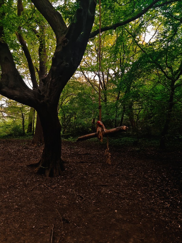 People have fun in the woods