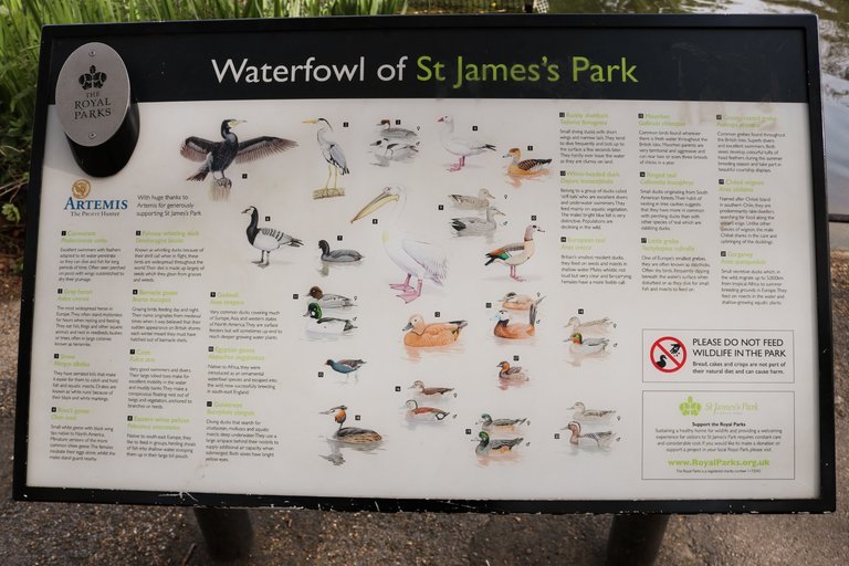 Learn about the species in the park