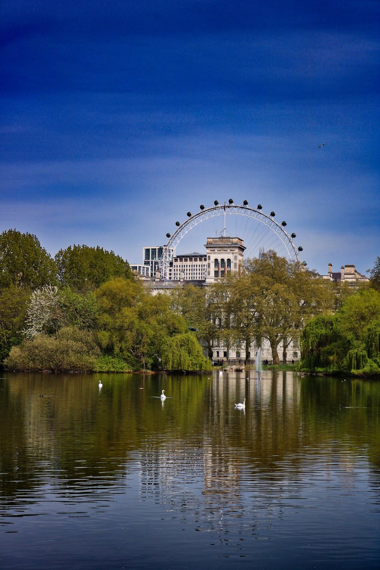 The London Eye