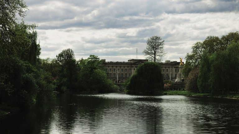 The Buckingham Palace view from the park