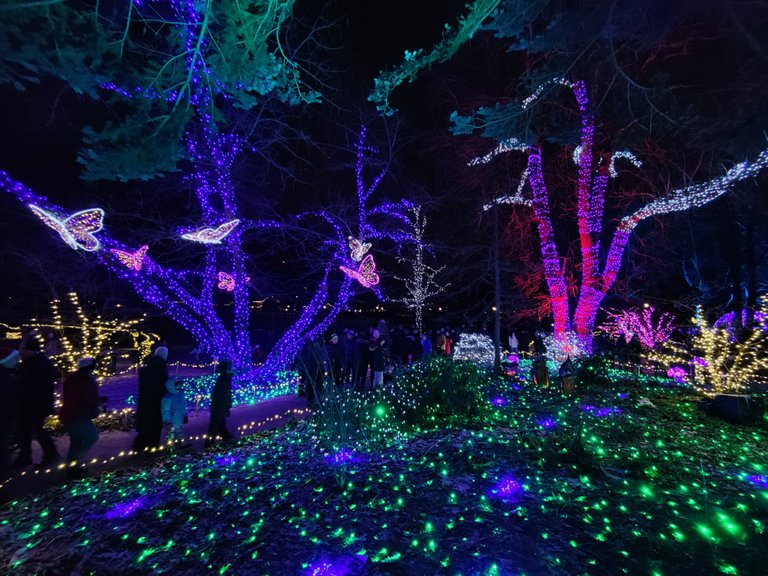 The Magic Forest | Ljusparken | Stadsparken | Örebro