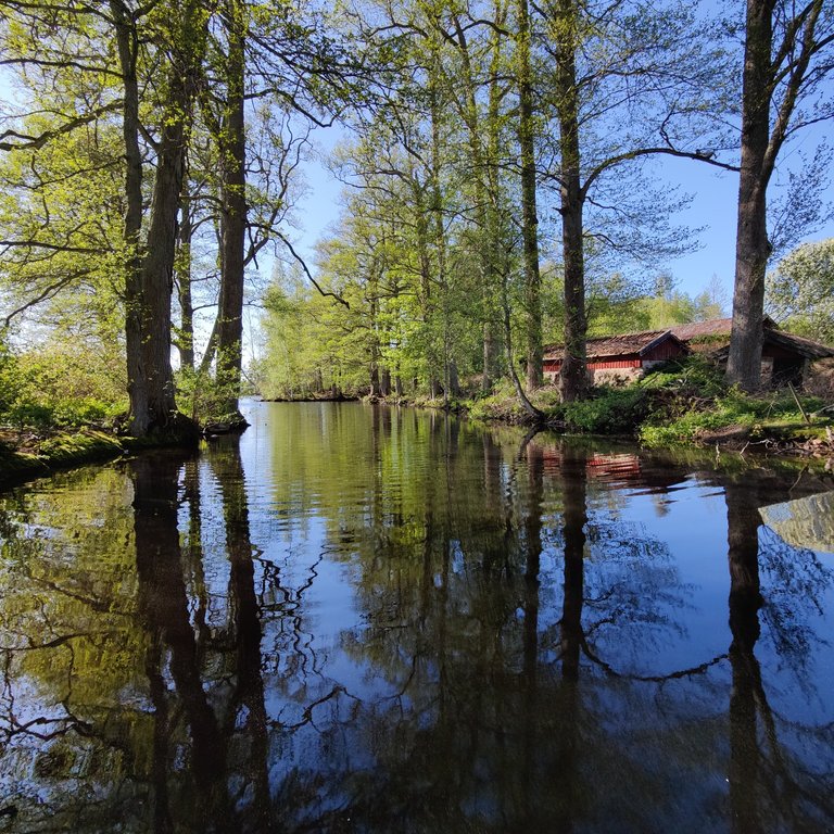 Exploring the Serene Beauty of Virå Bruk