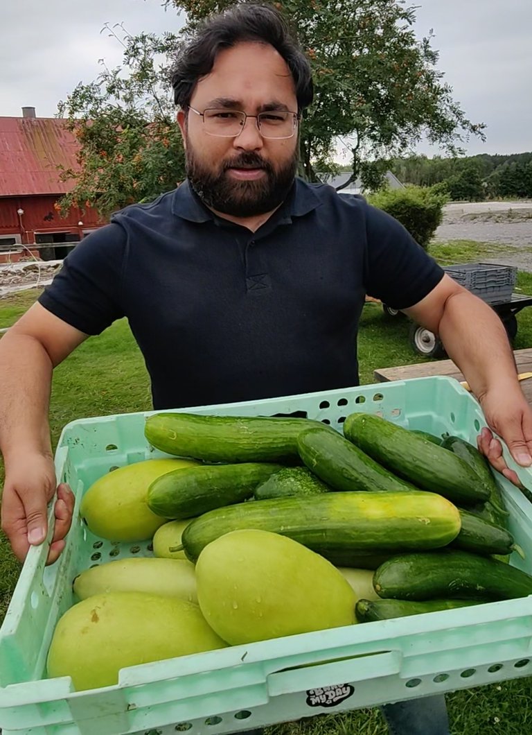 A Day at Kimsta Green Organic Farm | Exploring Nature's Bounty