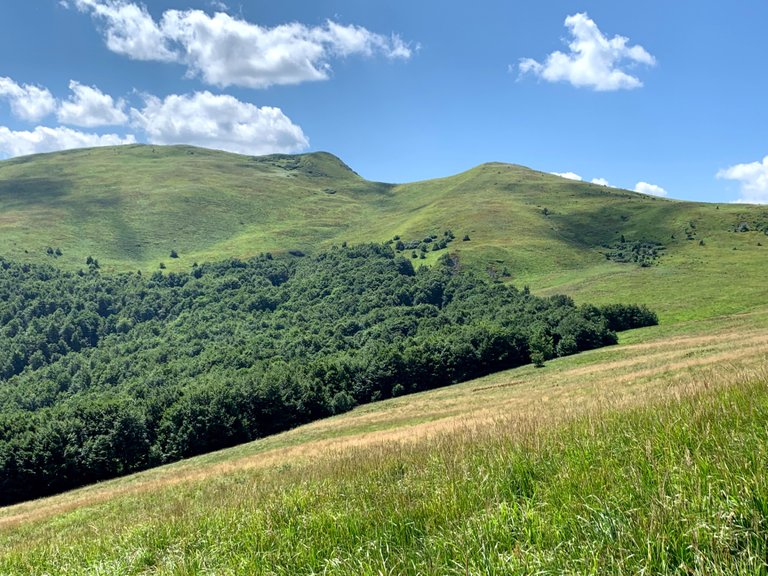 Tarnica widziana z szlaku z Halicza