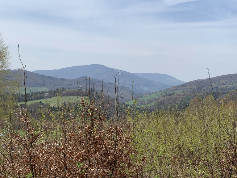 Widok w stronę Brennej, przed Orłową