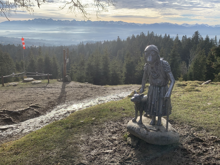 Tatry widziane z Koliby na Łapsowej Polanie