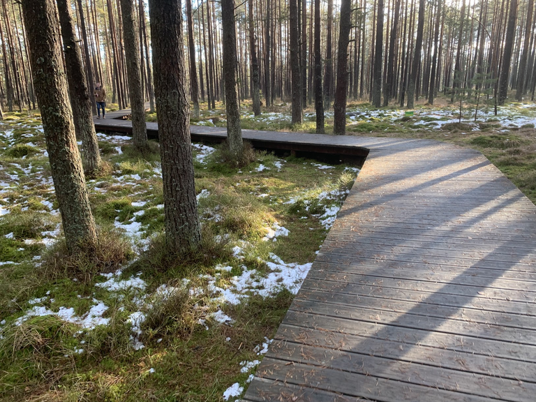 Ścieżka nad torfowiskiem ”Bór na Czerwonem”