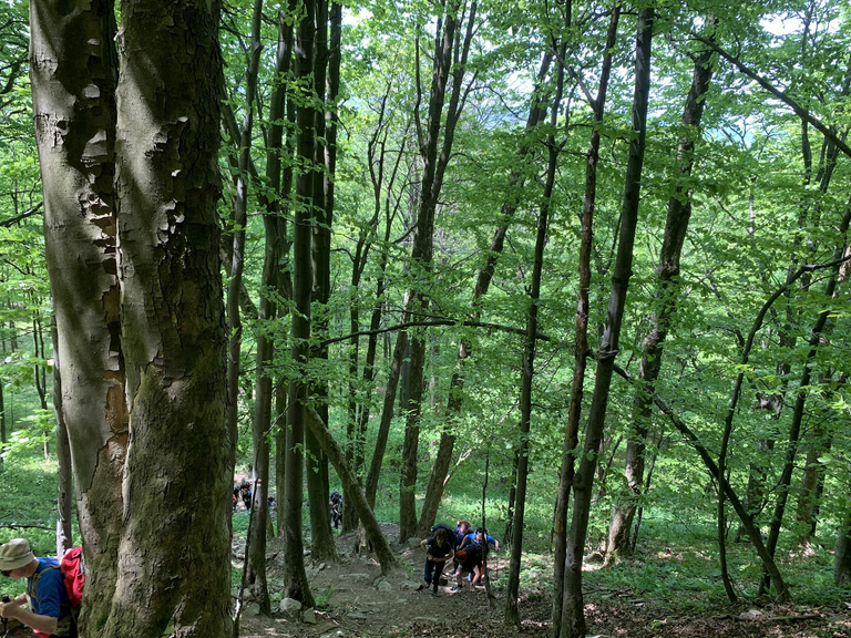 ”ściana płaczu” na Lackową