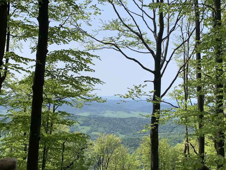 ”Widok” z Lackowej na południe