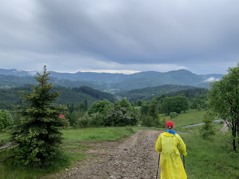 Zejście z Zapolanki do Złatnej. W tle Wielka Racza (najwyższa po prawej)