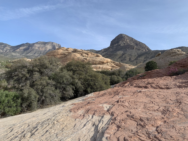 Turtlehead Peak